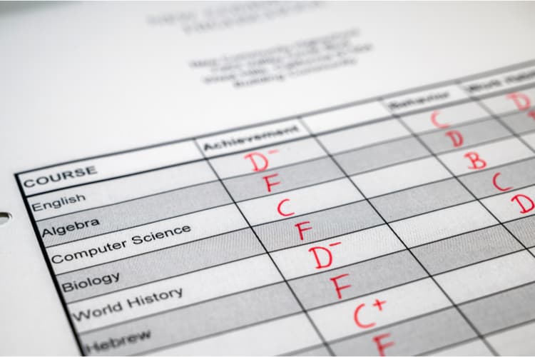 Notas Escolares