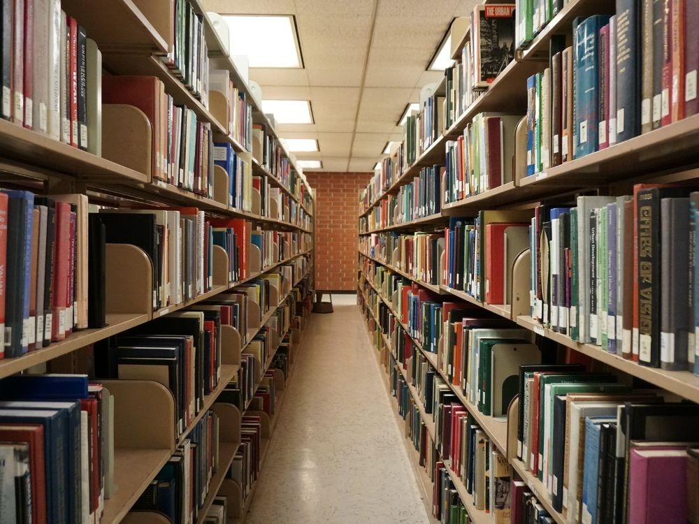 Estantes bem distribuídas e acervo identificado demonstram como organizar biblioteca escolar com eficiência e acessibilidade.