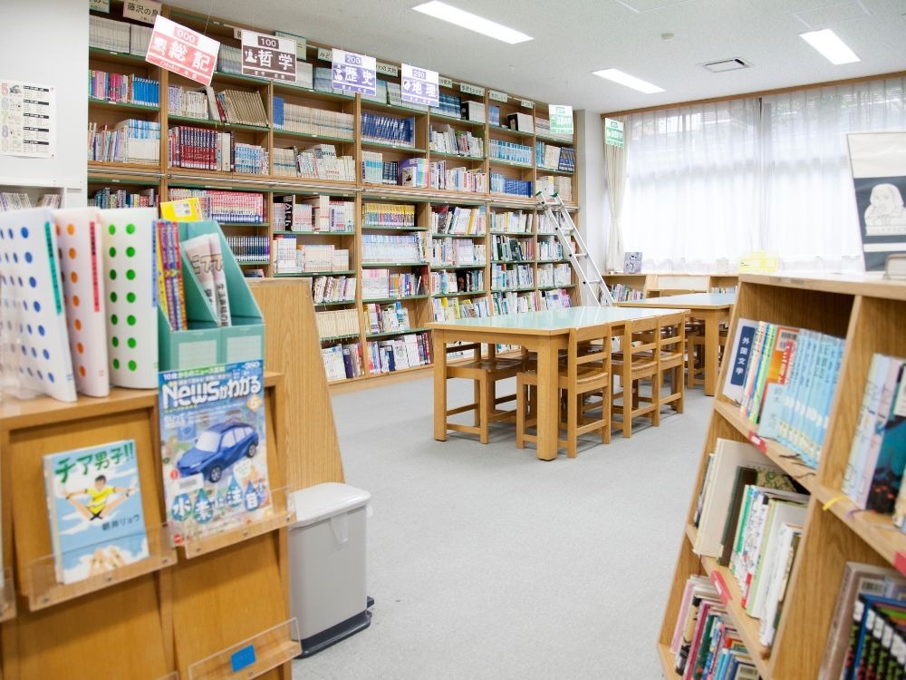Ambiente acolhedor e funcional revela boas práticas de como organizar biblioteca escolar com foco em conforto e aprendizado.